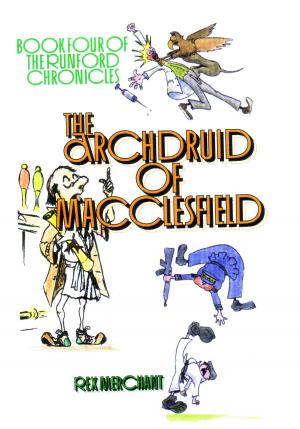 Cover of the book The Archdruid of Macclesfield by DJ Umber