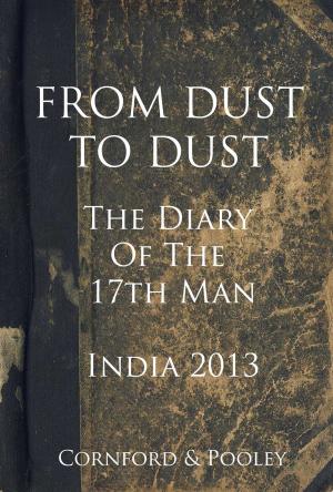 Book cover of From Dust to Dust - India 2013