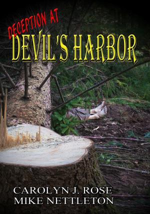 Book cover of Deception at Devil's Harbor