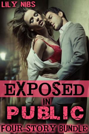 Cover of the book Exposed in Public: A Four-Story Bundle by Vicki Kross