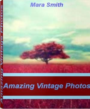 Cover of the book Amazing Vintage Photos by Carlos Batista