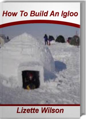 bigCover of the book How To Build An Igloo by 