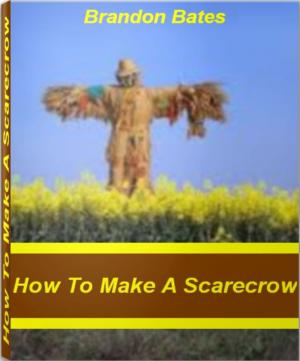 Cover of the book How To Make A Scarecrow by James M. Garber