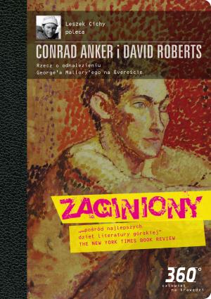 Book cover of Zaginiony