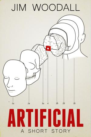 Cover of the book Artificial by Lizz Rizzo