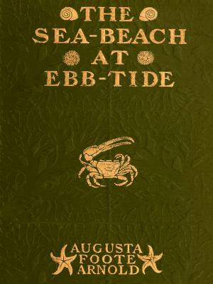 bigCover of the book The Sea-beach at Ebb-tide by 