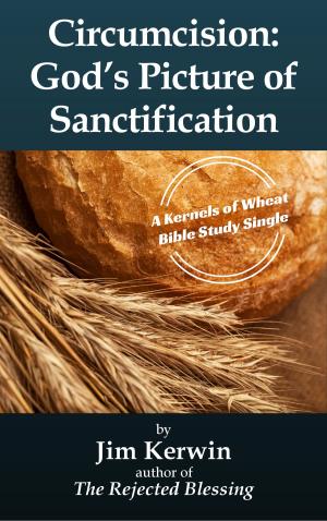 Cover of Circumcision: God's Picture of Sanctification