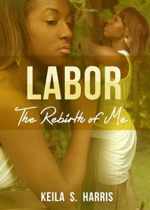 Cover of the book Labor by Mike Mitchell