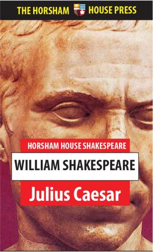 Cover of the book Julius Caesar by Raymond Gallun
