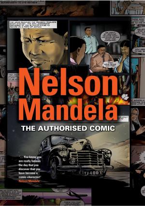 Book cover of Nelson Mandela - Graphic Novel