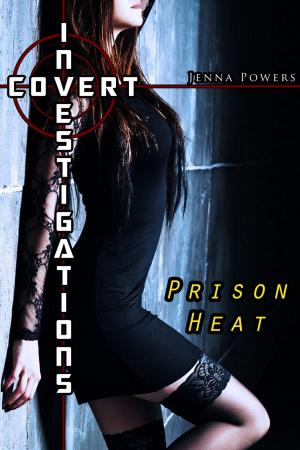 Cover of the book Covert Investigations by Olivia Dromen