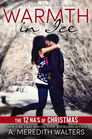 Cover of the book Warmth in Ice (A Find You in the Dark novella) by Shawntelle Madison