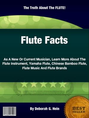 bigCover of the book Flute Facts by 