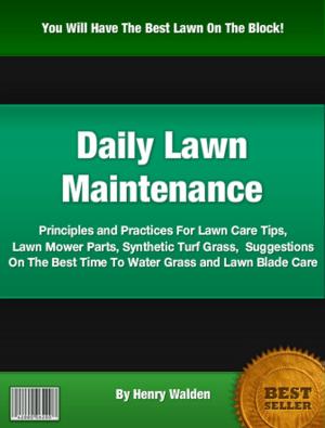 Cover of the book Daily Law Maintenance by Joesph Terlisiner