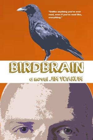 Book cover of Birdbrain