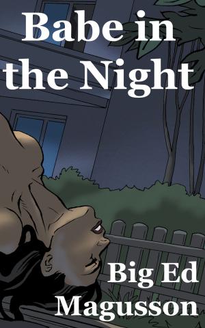 Cover of the book Babe in the Night by Carla Krae