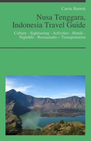 Cover of the book Nusa Tenggara, Indonesia Travel Guide: Culture - Sightseeing - Activities - Hotels - Nightlife - Restaurants – Transportation by Amy Copeland
