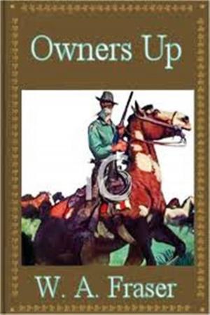 Cover of the book Owners Up by John Fox, Jr