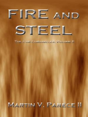 Book cover of Fire and Steel