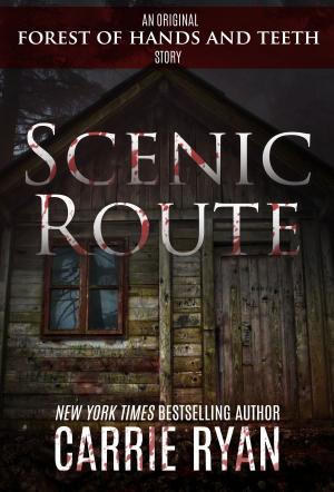 Book cover of Scenic Route