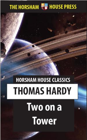 Cover of the book Two on a Tower by George Haw
