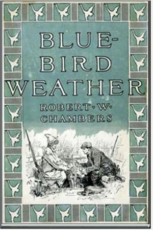 Book cover of Blue Bird Weather