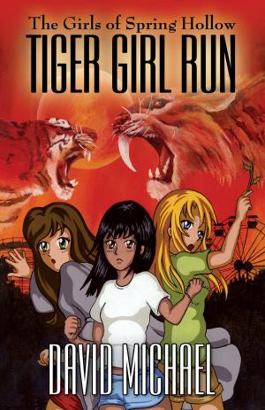 Cover of the book Tiger Girl Run by Evory Salieri
