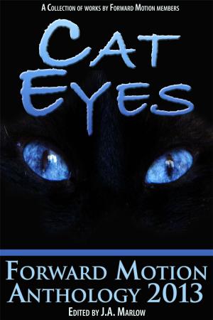 Book cover of Cat Eyes (Forward Motion Anthology 2013)