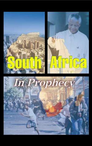 Cover of the book South Africa in Prophecy by John Robison