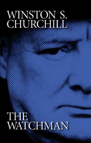Book cover of Winston S. Churchill