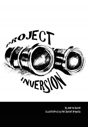 bigCover of the book Project Inversion by 