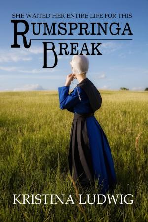 Cover of the book Rumspringa Break by Christine Rimmer