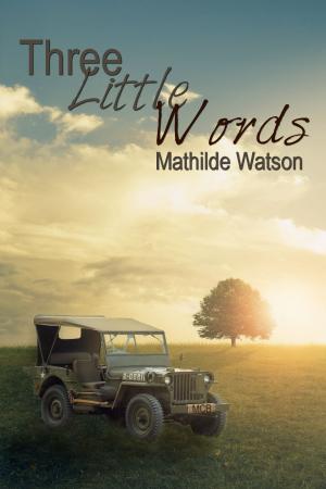 Cover of the book Three Little Words by Freddy MacKay, Ilaria D’Alimonte