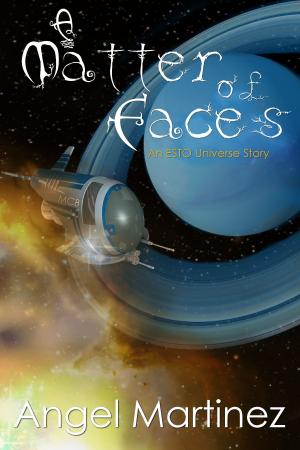 Cover of the book A Matter of Faces by Sandra C. Stixrude