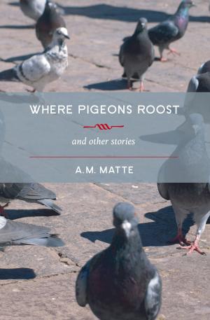 Cover of the book Where Pigeons Roost and other stories by James Noll