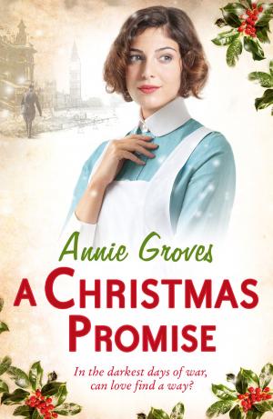 Cover of the book A Christmas Promise by Nicholas Timmins