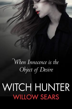 Cover of the book Witch Hunter by Joseph Polansky