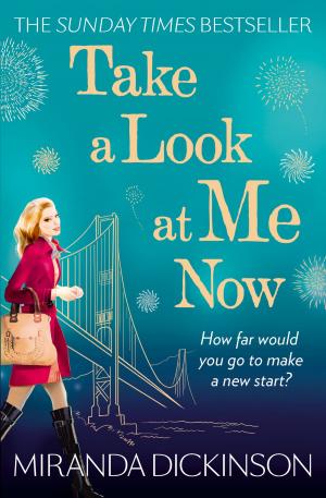 Cover of the book Take A Look At Me Now by Terry Lynn Thomas