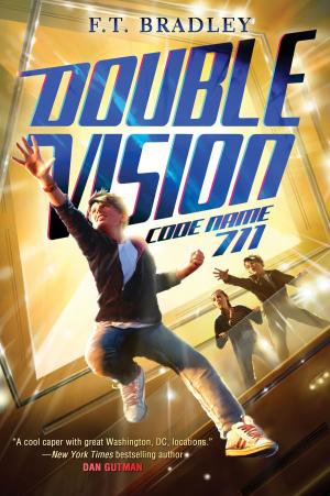 Cover of the book Double Vision: Code Name 711 by Lola M. Schaefer