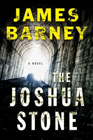 Cover of the book The Joshua Stone by Matt Richtel