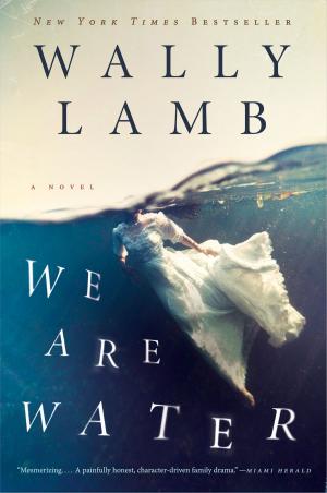 Cover of the book We Are Water by Steven Pressman