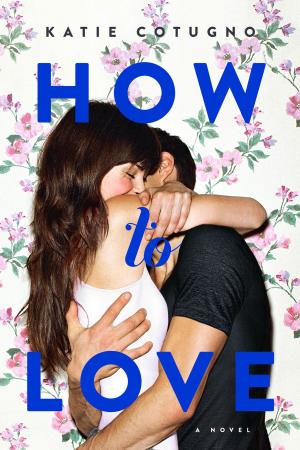 Cover of the book How to Love by David Yoo