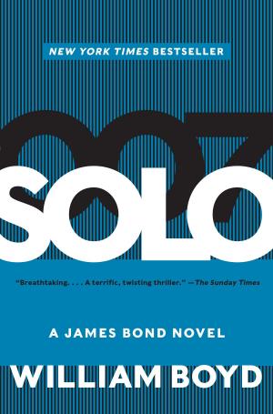 Cover of the book Solo by Mary Papenfuss, Teri Thompson