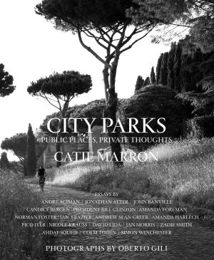 Cover of the book City Parks by Jean Godfrey-June