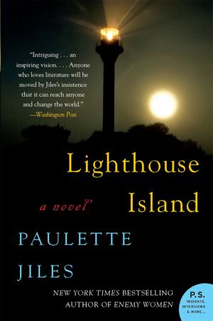 Cover of the book Lighthouse Island by Mark Lee Gardner