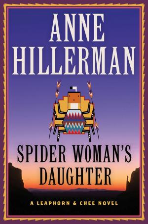 Cover of the book Spider Woman's Daughter by Harris Faulkner