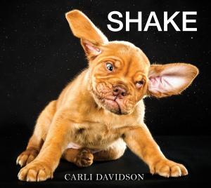 Cover of the book Shake by Francesc Zamora