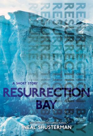 Cover of the book Resurrection Bay by Francesca Lia Block