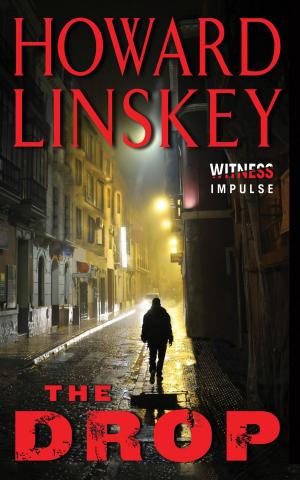 Cover of the book The Drop by LS Hawker