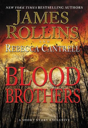 Cover of the book Blood Brothers by Dane Huckelbridge